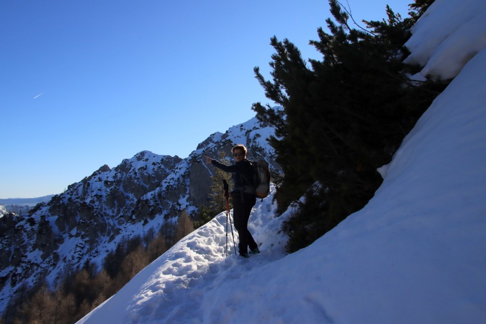 2020_01_12 planina Gajščica - sedlo Trupejevo - foto povečava