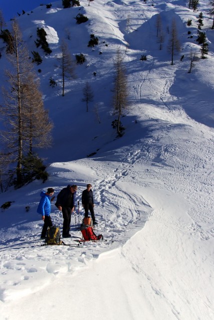 2020_01_12 planina Gajščica - sedlo Trupejevo - foto