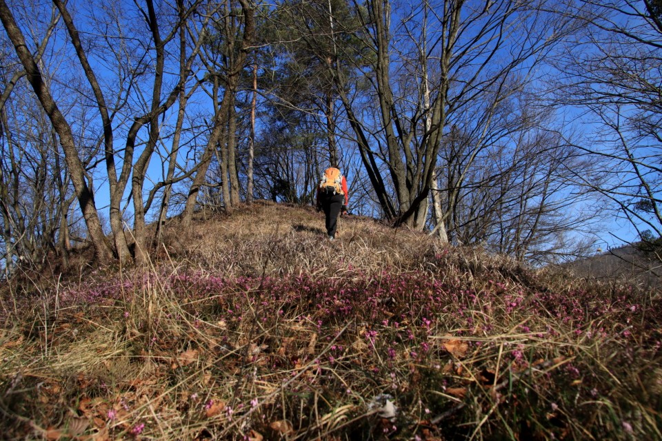 2020_02_16 Kleviška špica in Žamboh - foto povečava