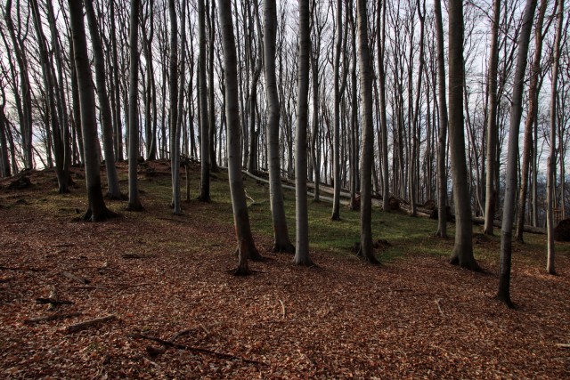 2020_02_16 Kleviška špica in Žamboh - foto