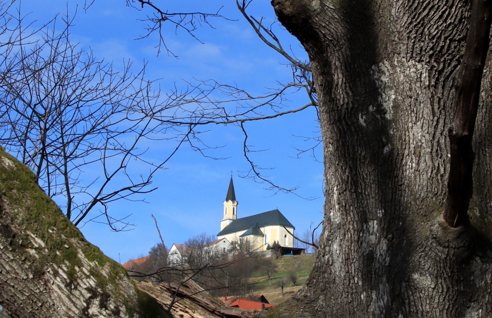 2020_02_19 sredina foto skupina - foto povečava