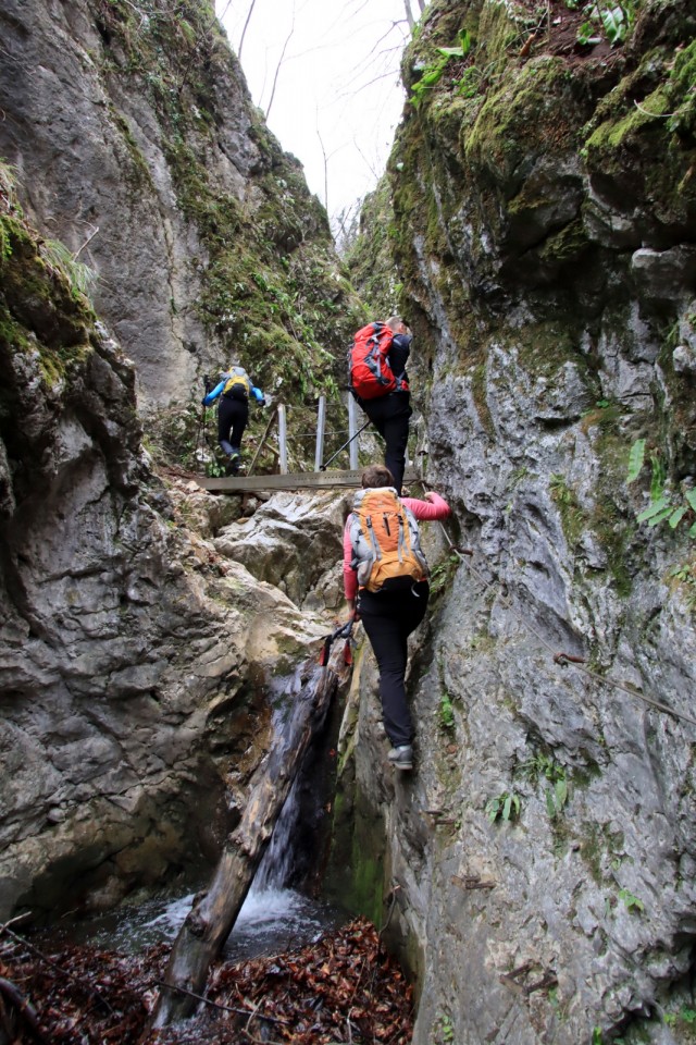 2020_02_23 Srebotnik Grmada nad Celjem - foto povečava