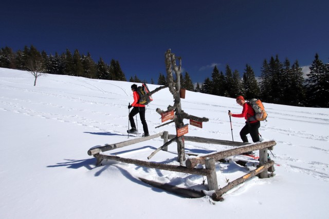 2020_03_08 Veliki Travnik - foto