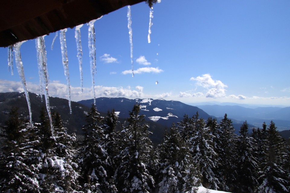 2020_03_08 Veliki Travnik - foto povečava