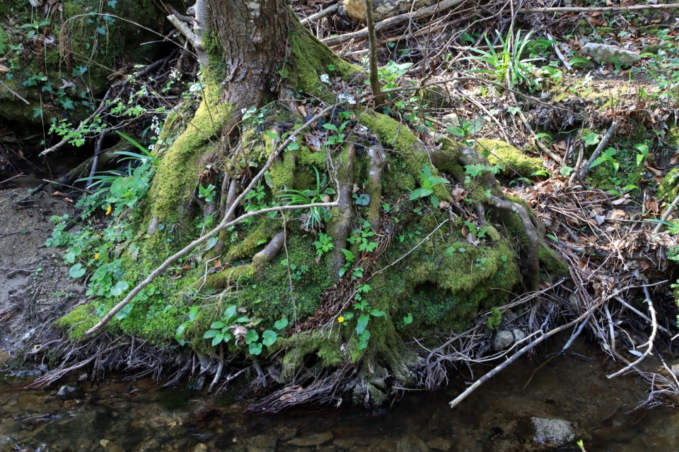 2020_04_19 sv. Trojica nad Jurkloštrom - foto povečava