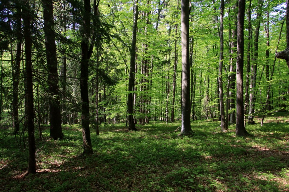 2020_04_26 Nebesa nad Šentrupertom - foto povečava