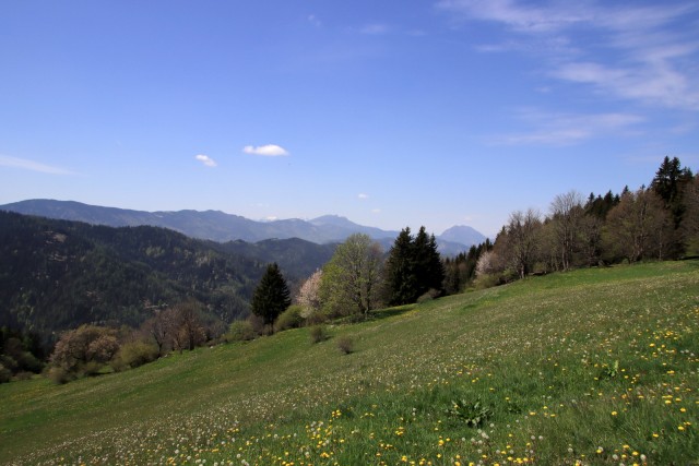 2020_05_09 Uršlja gora ( Plešivec ) - foto