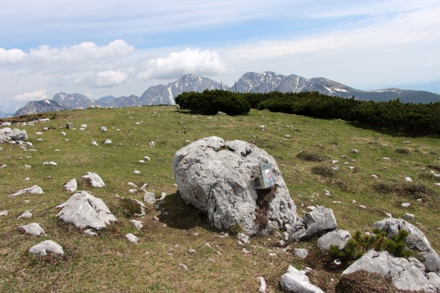 2020_05_22 Golica in Struška - foto