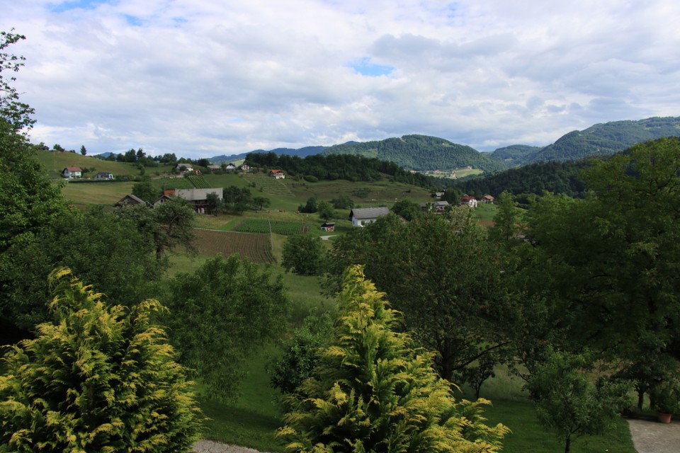 2020_05_26 Gor. Brezovo - Handija - foto povečava