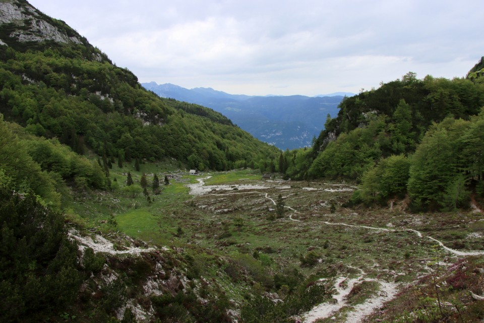 2020_05_31 Rodica ( 1966 m )  - foto povečava