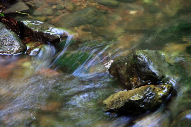 2020_06_03 po Kameniškem potoku  - foto