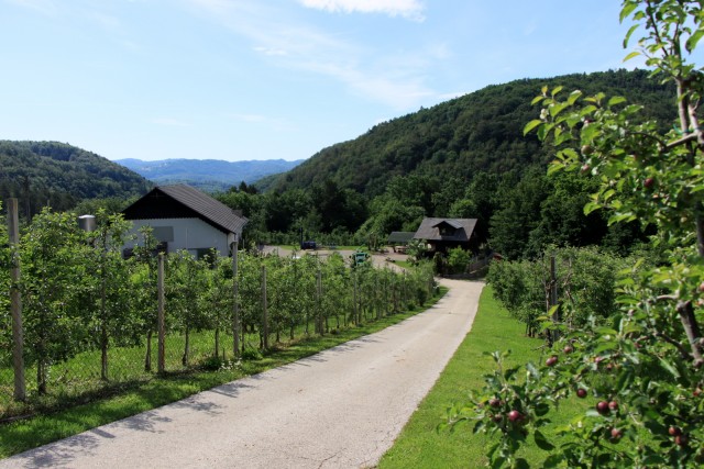 2020_06_03 po Kameniškem potoku  - foto