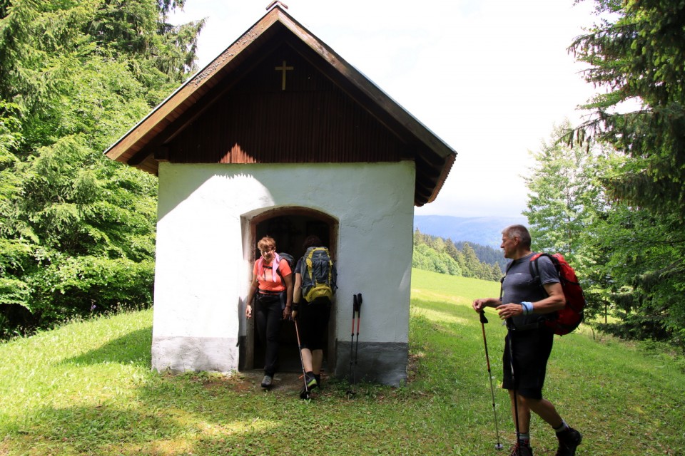 2020_06_06 Velika Kopa ( 1542 m )  - foto povečava