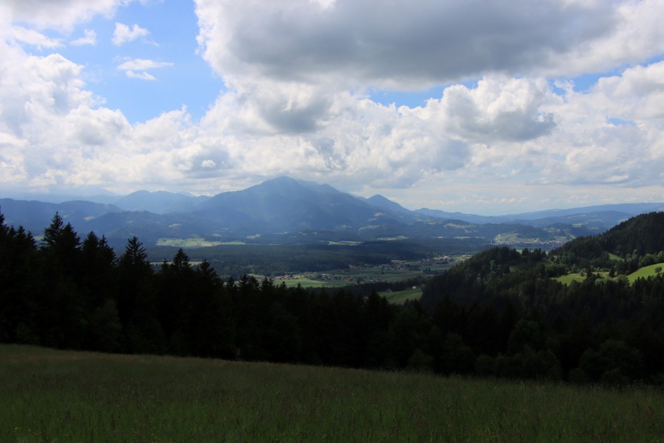 2020_06_06 Velika Kopa ( 1542 m )  - foto povečava