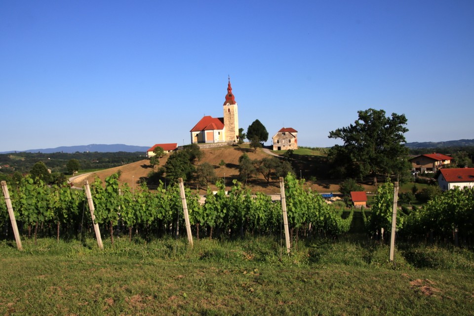 2020_06_30 Veliki Špiček ( 686 m )  - foto povečava