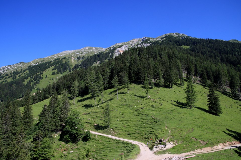 2020_07_28 Begunjščica ( 2060 m ) - foto povečava