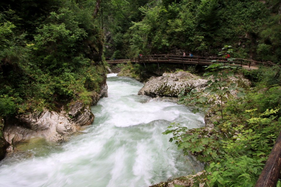 2020_08_05 Blejski Vintgar - foto povečava