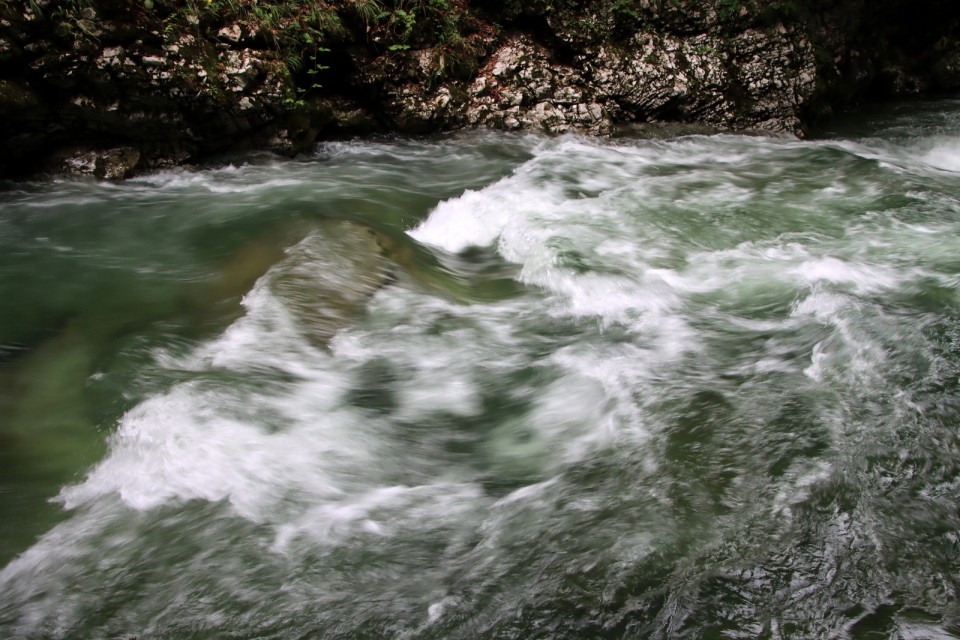 2020_08_05 Blejski Vintgar - foto povečava