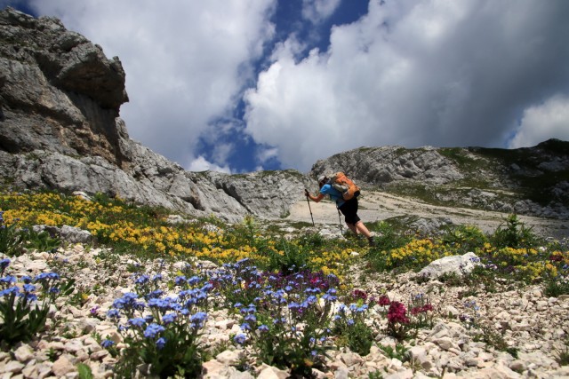 2020_08_09 Velika Črnelska špica ( 2332 m ) - foto