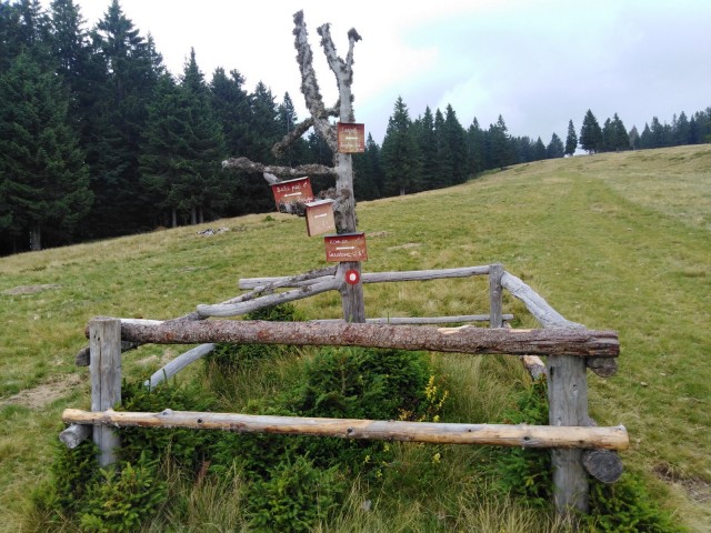 2020_08_11 Veliki Travnik ( 1637 m )  - foto