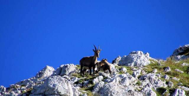 2020_08_25 Špik Hude police ( 2420 m ) - foto