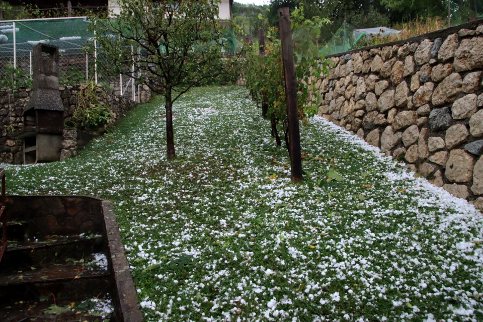 2020_08_30 neurje z točo v Radečah - foto povečava