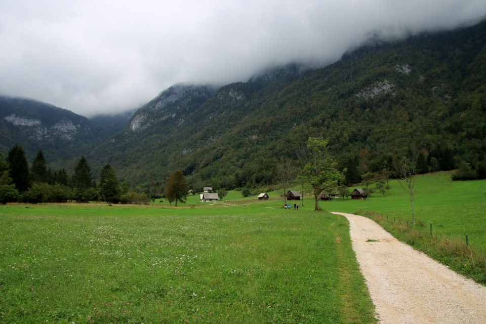 2020_09_08 planina Zajamniki ( 1280 m )  - foto povečava