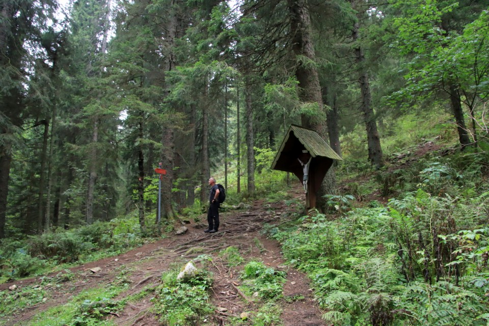 2020_09_22 Uršlja gora / Plešivec - foto povečava