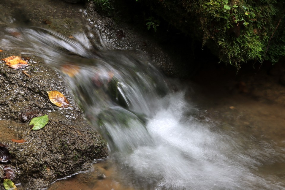 2020_09_23 potok pod Vranjo pečjo - foto povečava