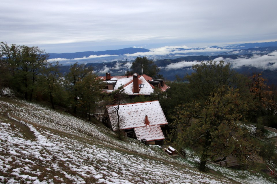 2020_10_12 Lisca - za vzorec pobelilo Lisco - foto povečava