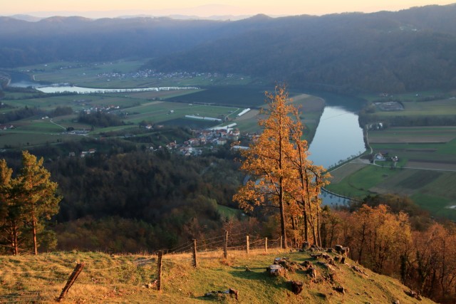 2020_11_07 Veliko Kozje in sv. Lovrenc - foto