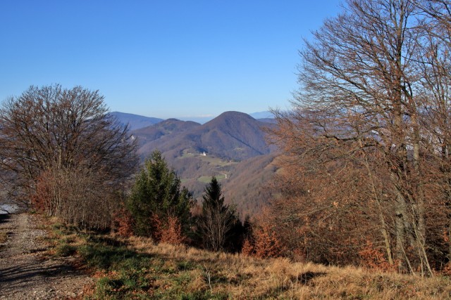 2020_11_18  Lisca - foto