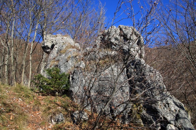 2020_11_22 Lisca in Ješivec - foto