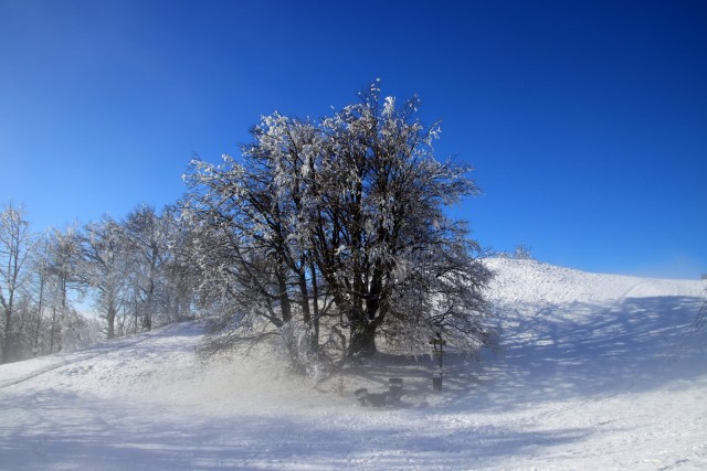 2020_12_13 Lisca - malo megle, malo sonca - foto