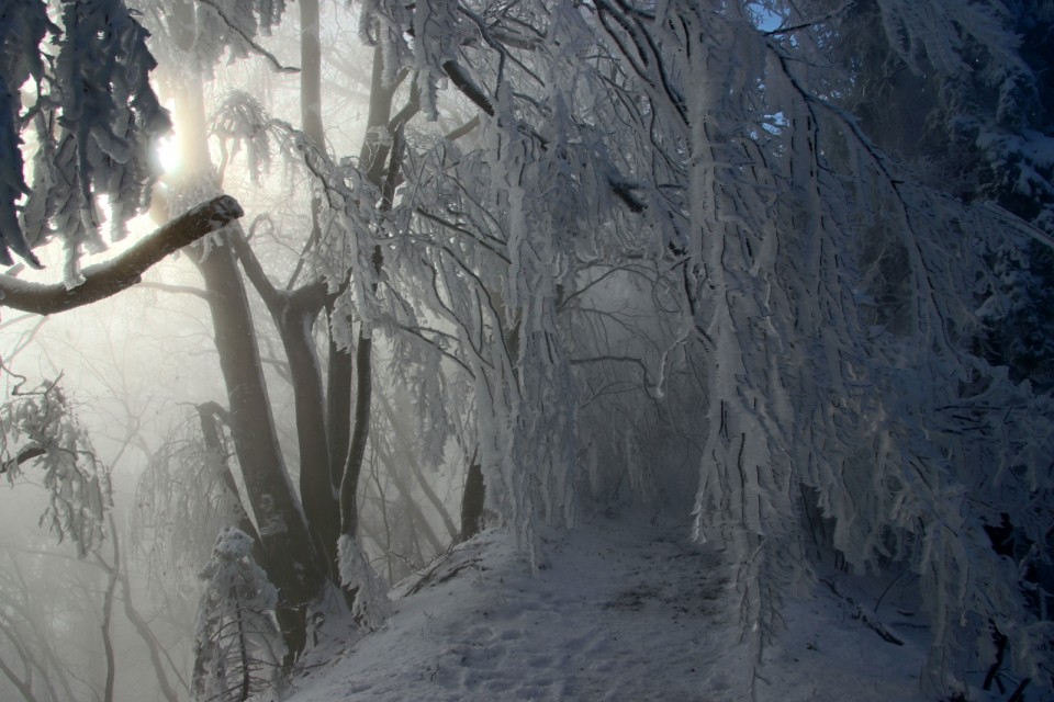 2020_12_13 Lisca - malo megle, malo sonca - foto povečava