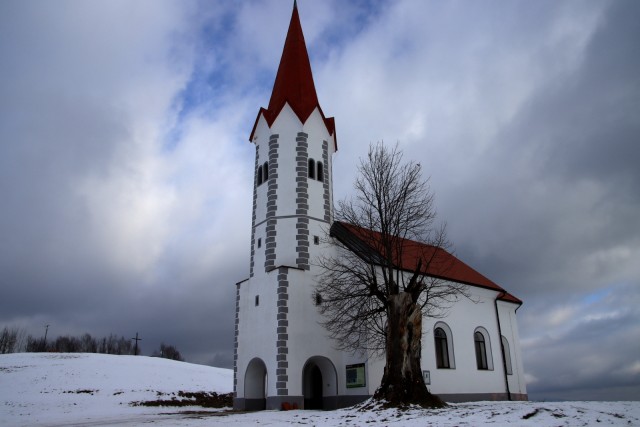 2021_01_16 Leskovec v Podborštu (  718 m ) - foto