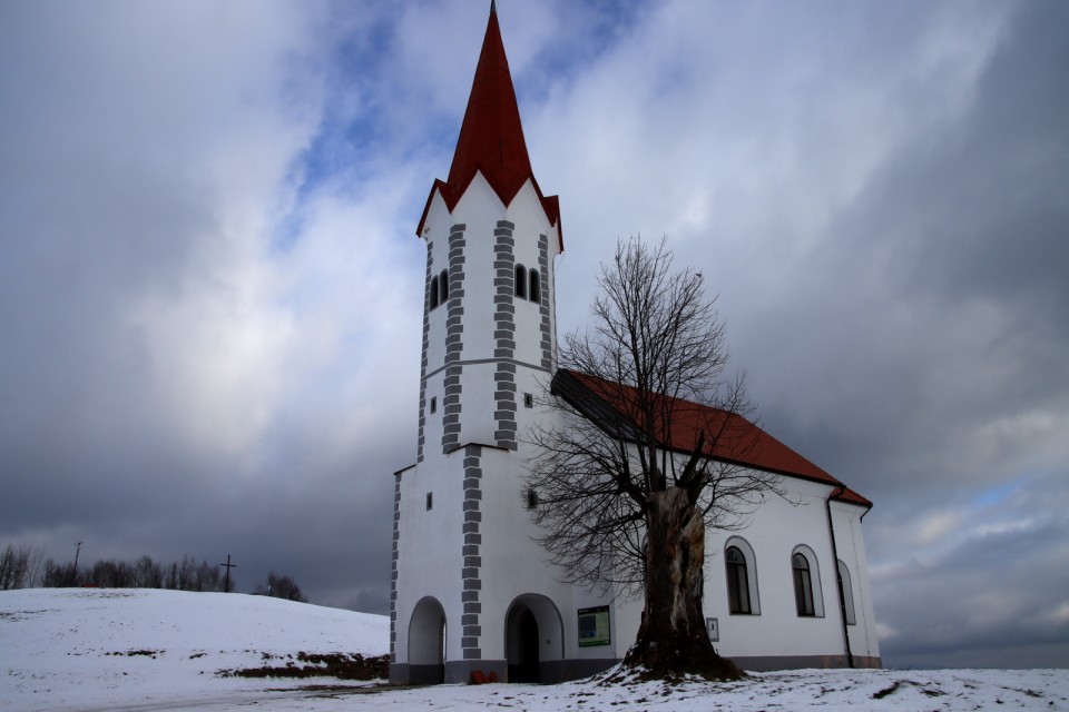 2021_01_16 Leskovec v Podborštu (  718 m ) - foto povečava