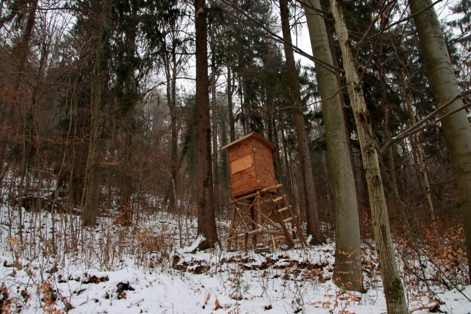 2021_01_17 Viška Peč - Lovrenc - Mrzlo polje - foto povečava