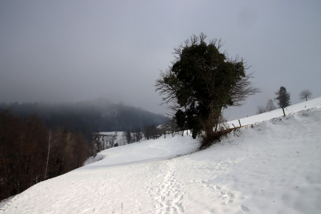 2021_01_17 Viška Peč - Lovrenc - Mrzlo polje - foto