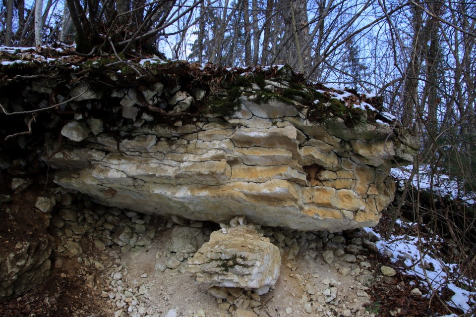 2021_01_17 Viška Peč - Lovrenc - Mrzlo polje - foto povečava