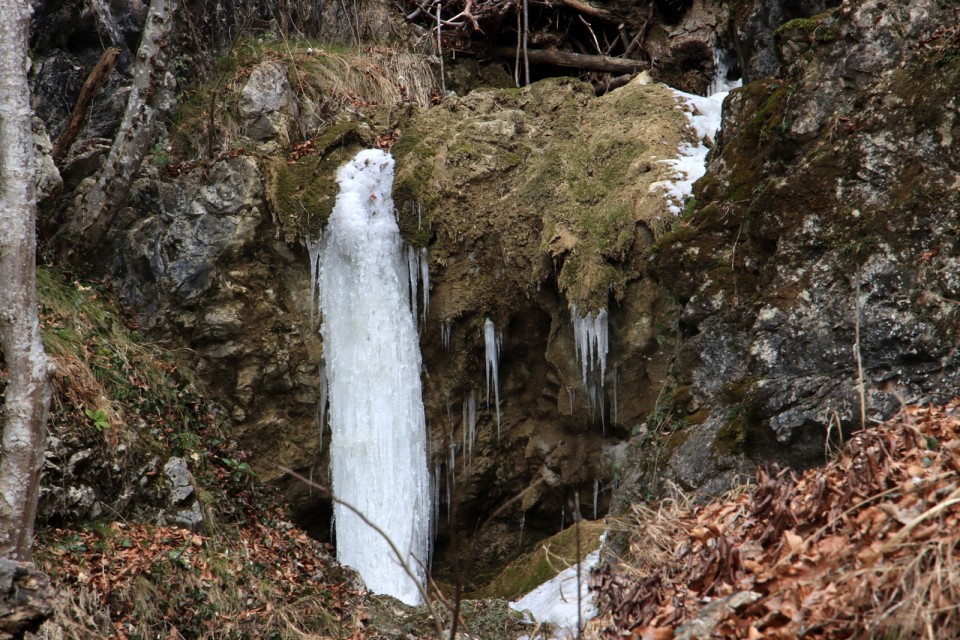 2021_02_16 Bohorski slapovi - Oslica - foto povečava