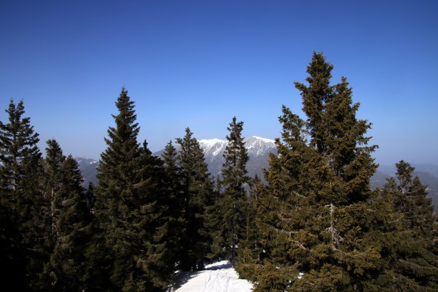 2021_02_23 Veliki Travnik ( 1637 m ) - foto