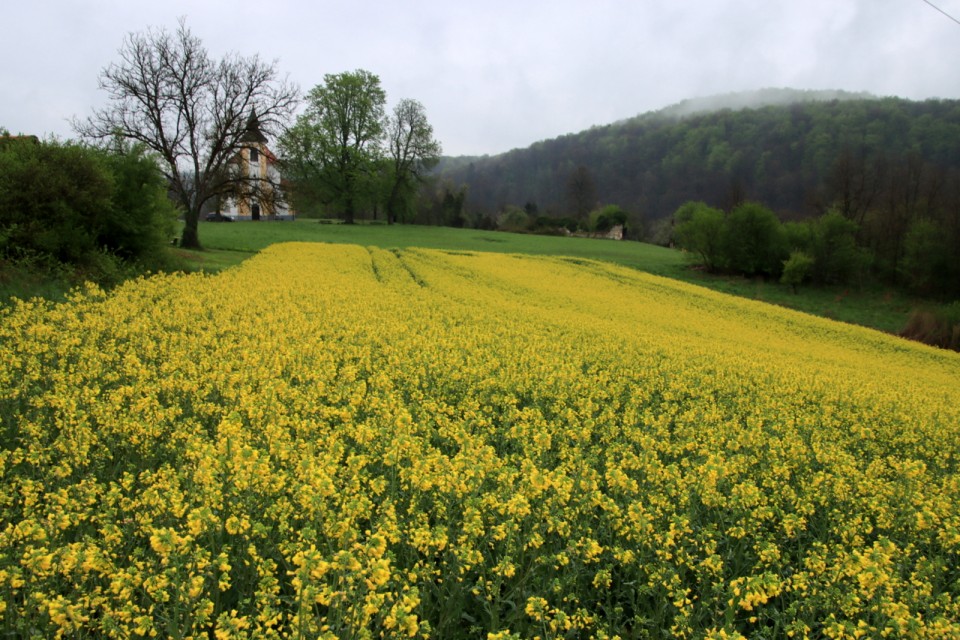 2021_04_28 posestvo Lanšprež - foto povečava