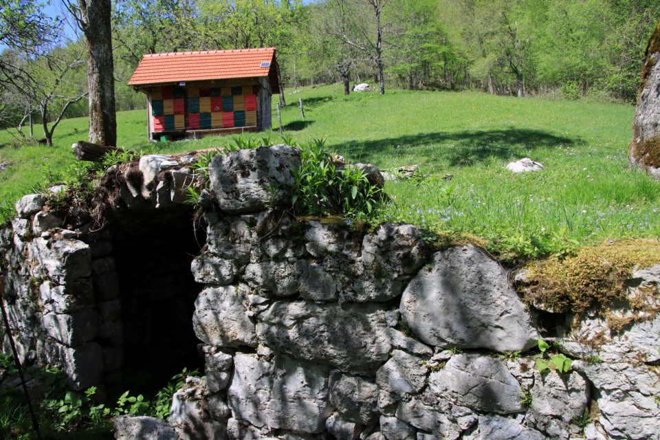 2021_05_04 Kuželjska stena ( 857 m ) - foto povečava