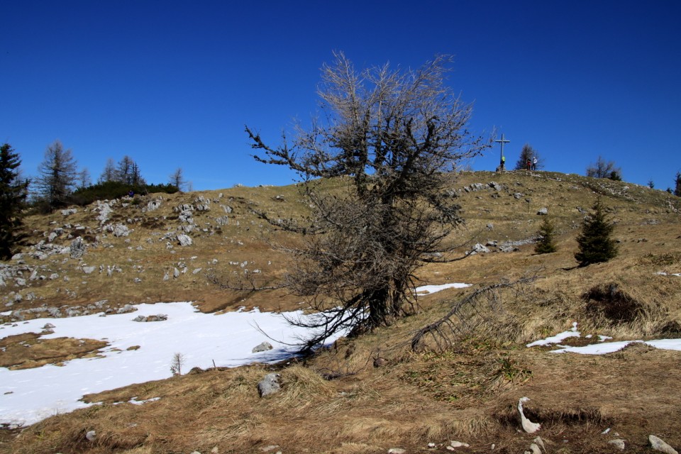 2021_05_09 Uršlja gora ( 1699 m )  - foto povečava