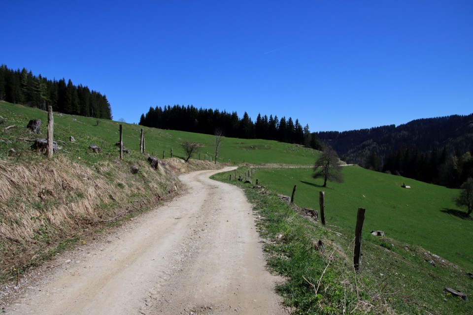 2021_05_09 Uršlja gora ( 1699 m )  - foto povečava