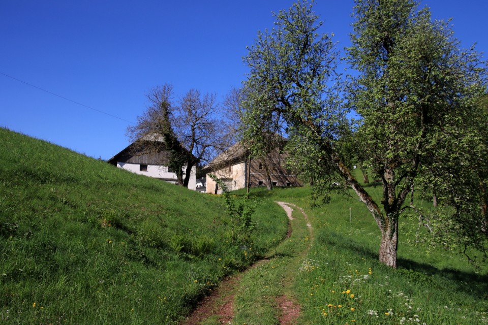 2021_05_18 Bevkov vrh ( 1051 m )  - foto povečava