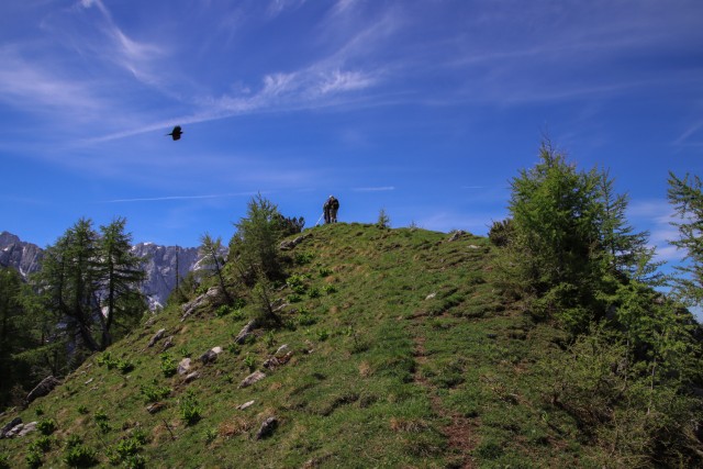 2021_06_15 Goli vrh ( 1787  m ) - foto