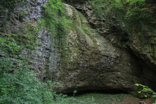 2021_06_16 potep po območju občine Laško - foto