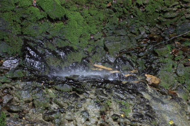 2021_06_16 potep po območju občine Laško - foto